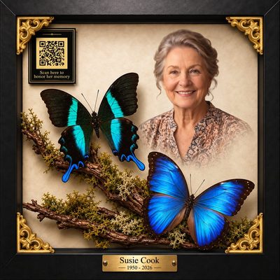 Grand Tribute, 10 by 10 inches, with butterflies, branches and moss